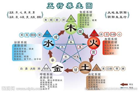 五行相生相剋關係|中醫知識 